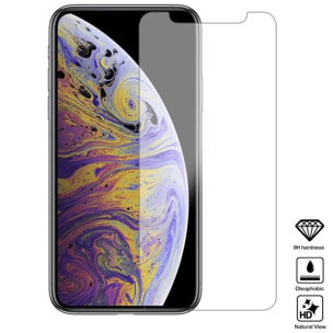 Pellicola salvaschermo in vetro temperato 2.5D per iPhone XS Max / 11 Pro Max