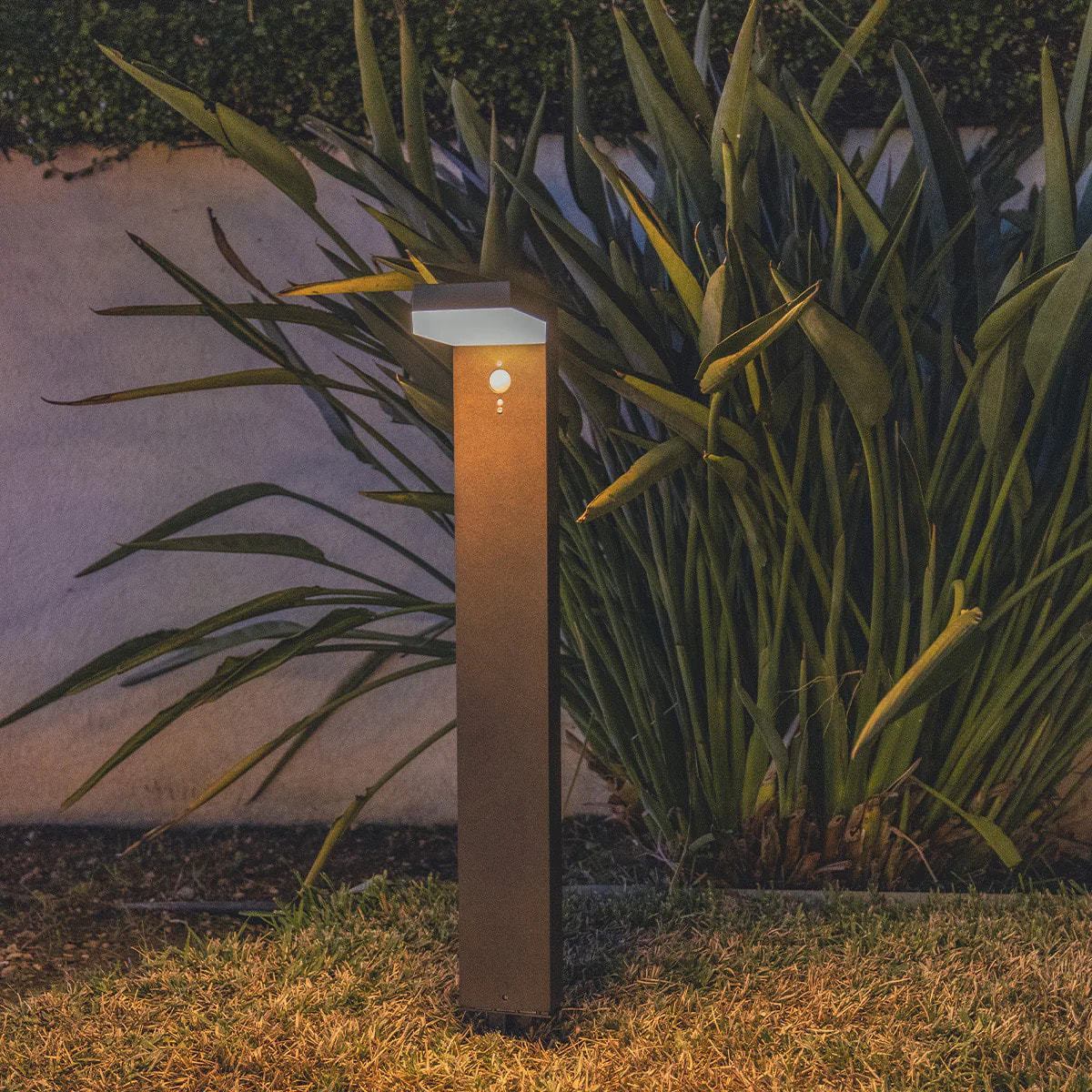 Potelet solaire CENOVA TALL H50CM 600LM