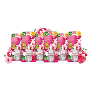 Air Wick Ambientador Eléctrico - Ambientador difusor inteligente con tecnología Anti-Fading con aroma a Flor de Cerezo y Frambuesa - 6 Recambios