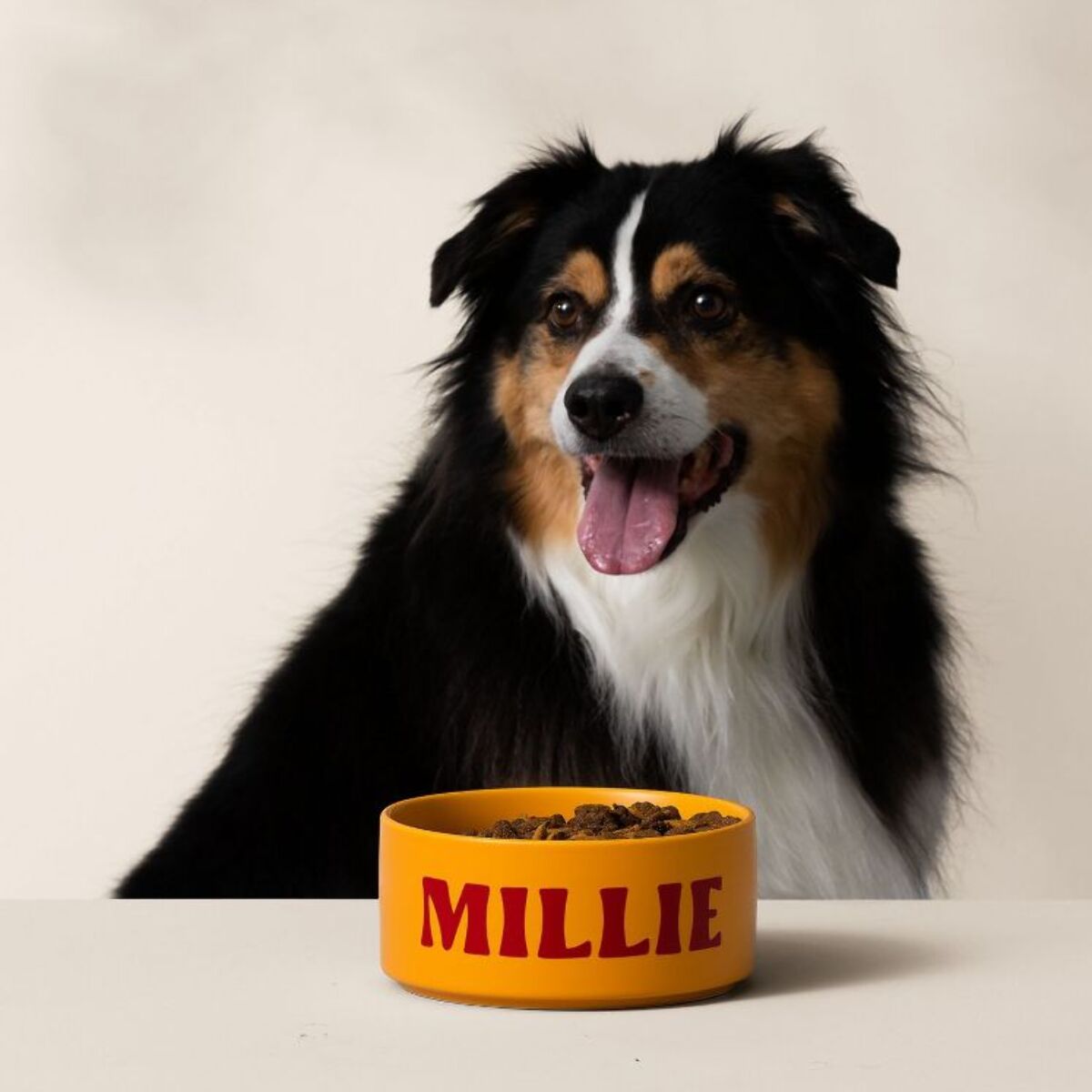 Machine de découpe CRICUT Bundle Joy Xtra Lavande