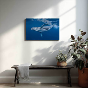Tableau baleine majestueuse nageant sous l’océan Toile imprimée