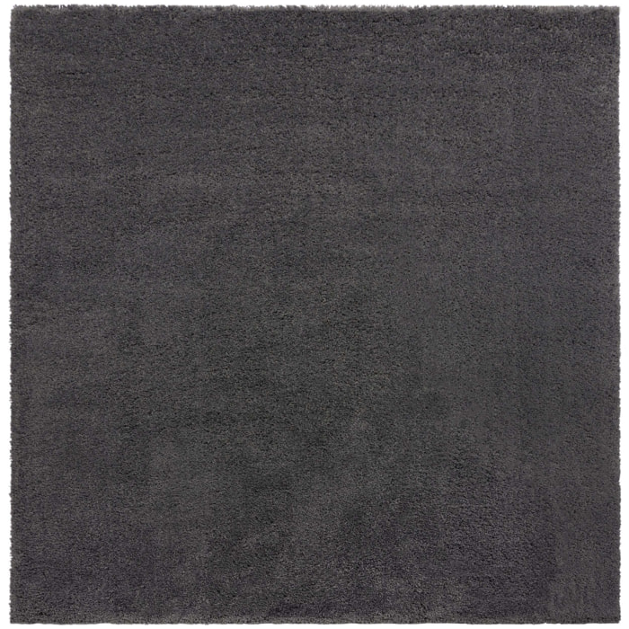 Tapis carré PLUME Gris
