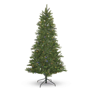 Mercurio LED - Albero di Natale con luci LED in PE e PVC ø100x180H, 729 rami