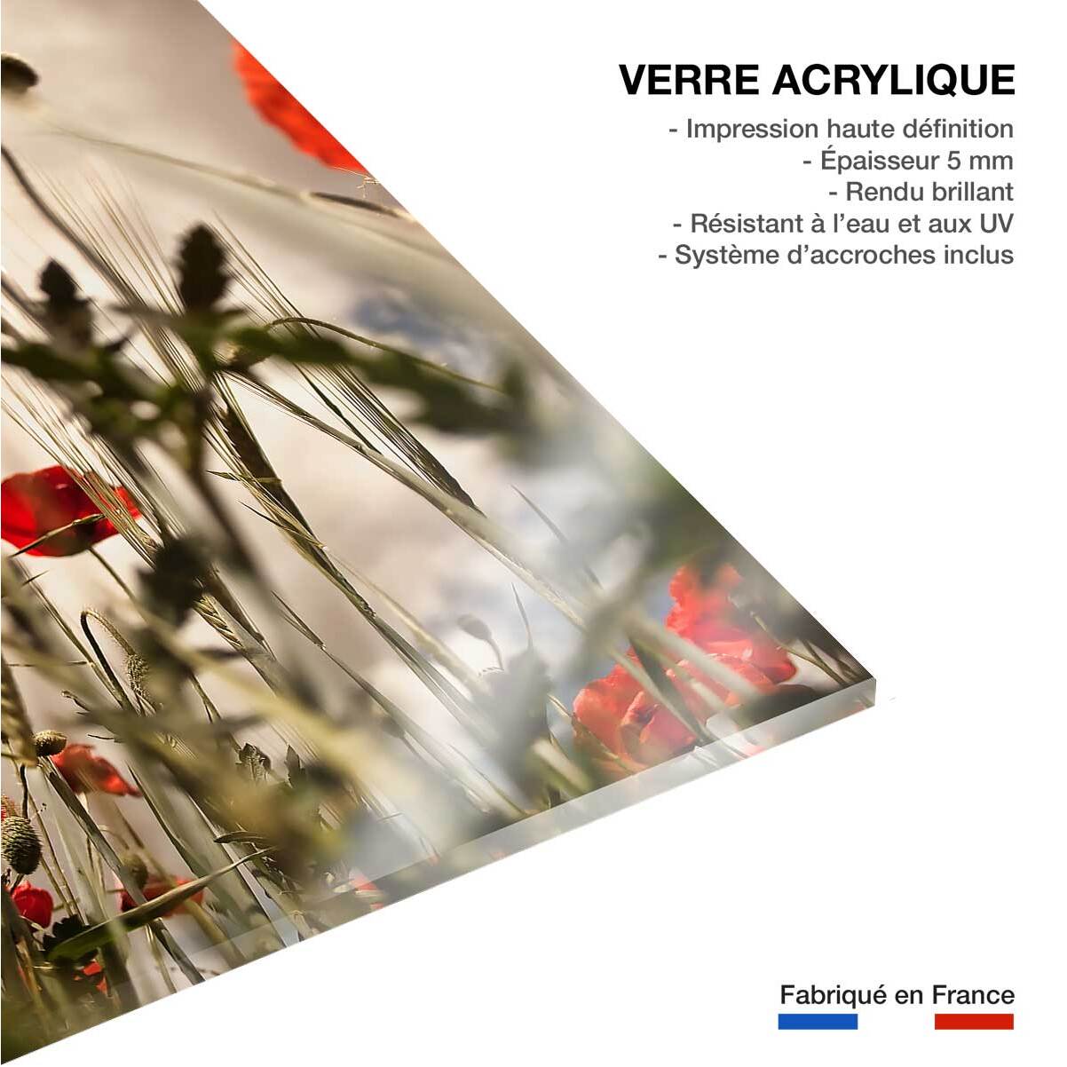 Tableau coquelicots décoration murale moderne Tableau plexiglas