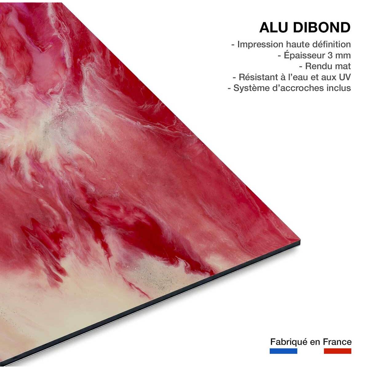 Tableau vanille fraise Tableau alu Dibond