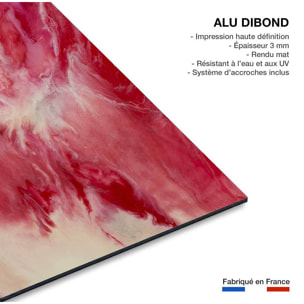 Tableau vanille fraise Tableau alu Dibond