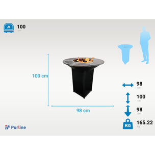 Barbacoa con placa de acero de 100 cm EFP56B PURLINE  W