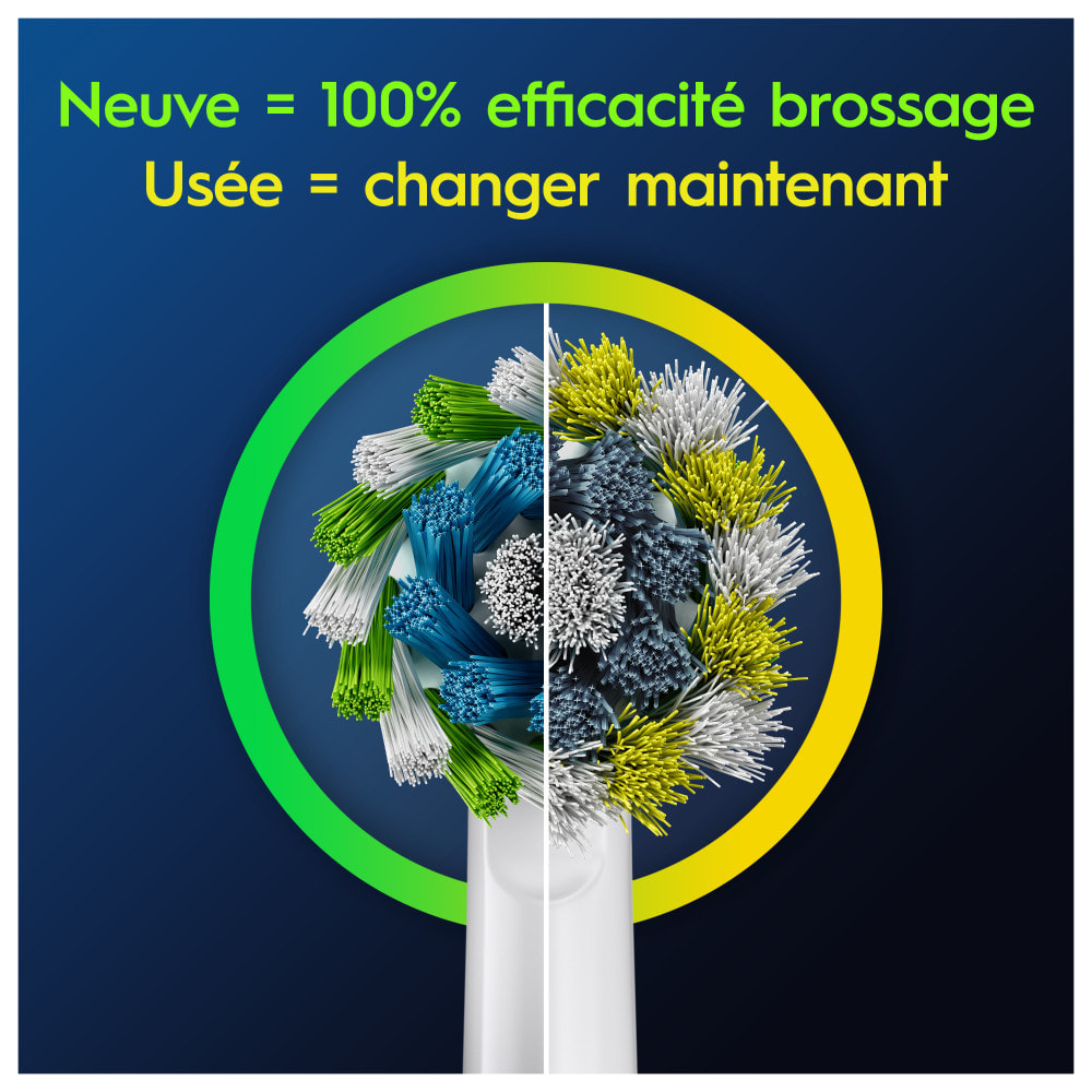 Oral-B Pro Cross Action Brossettes Pour Brosse À Dents, 3 Unités