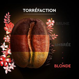 Carte Noire Grains Honduras Bio 1 KG