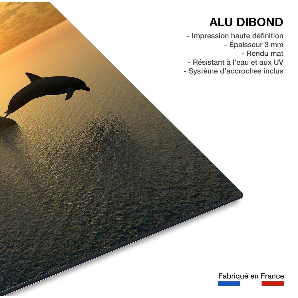 Tableau décoratif dauphins Tableau alu Dibond