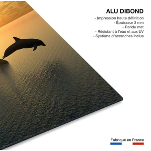 Tableau décoratif dauphins Tableau alu Dibond