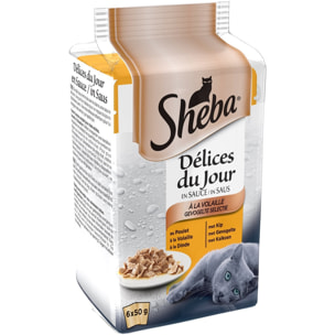 SHEBA Délices du Jour 90 Sachets poulet dinde en sauce pour chat 50g (15x6)