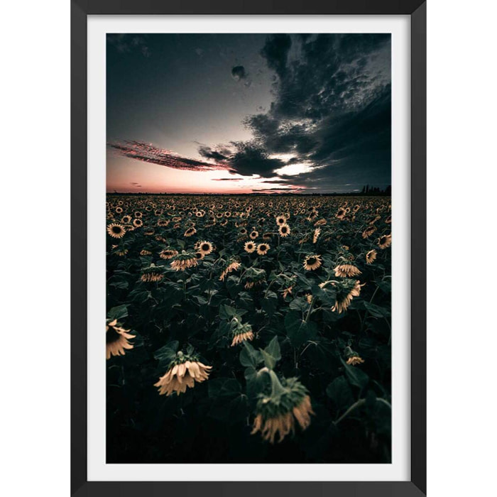 Affiche fleurs wake up sunflowers! Affiche + cadre en bois - Noir