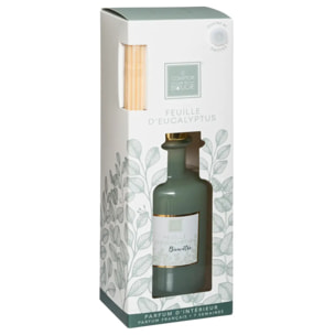 Diffuseur "Mael" - eucalyptus 200mL