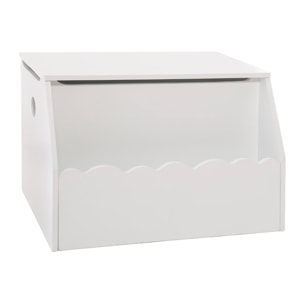 Caja de juguetes y biblioteca infantil