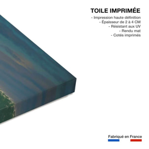 Tableau surf belharra vague géante Toile imprimée