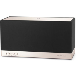 Enceinte résidentielle TRIANGLE AIO 3  Noir