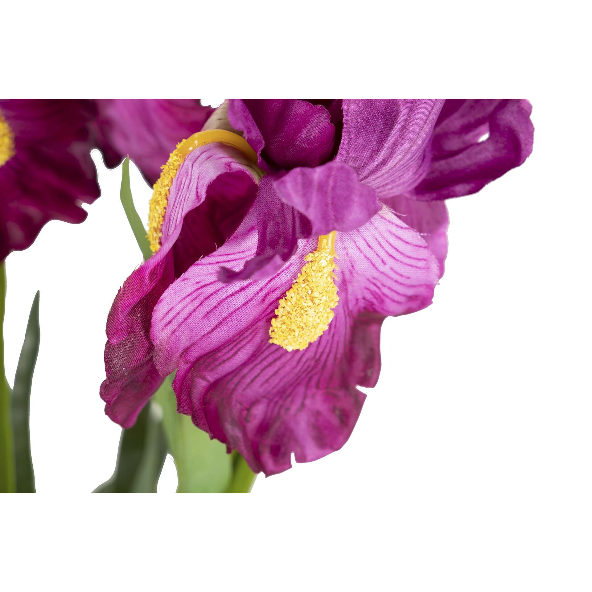 Planta Orquidea Cattleya 60x60x70 Cm