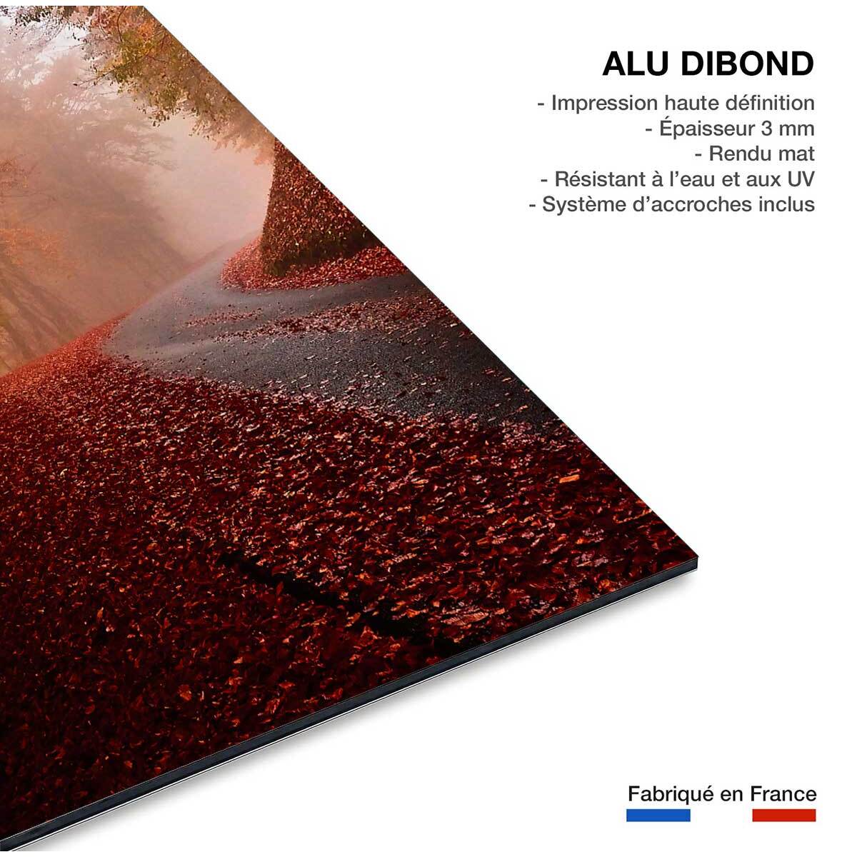 Tableau nature explosion automnale Tableau alu Dibond