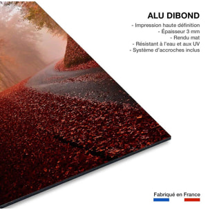 Tableau nature explosion automnale Tableau alu Dibond