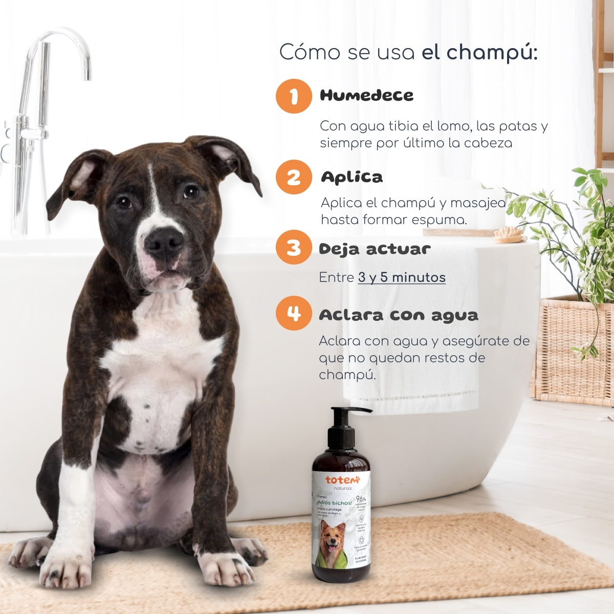 Champú Natural para Perros – Limpieza Suave y Profunda, Hidrata y Protege el Pelaje, Aroma Agradable, Ideal para Todo Tipo de Razas