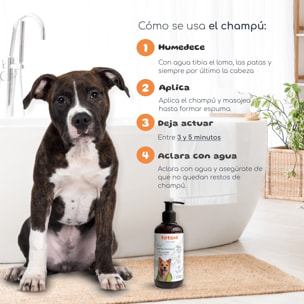 Champú Natural para Perros – Limpieza Suave y Profunda, Hidrata y Protege el Pelaje, Aroma Agradable, Ideal para Todo Tipo de Razas