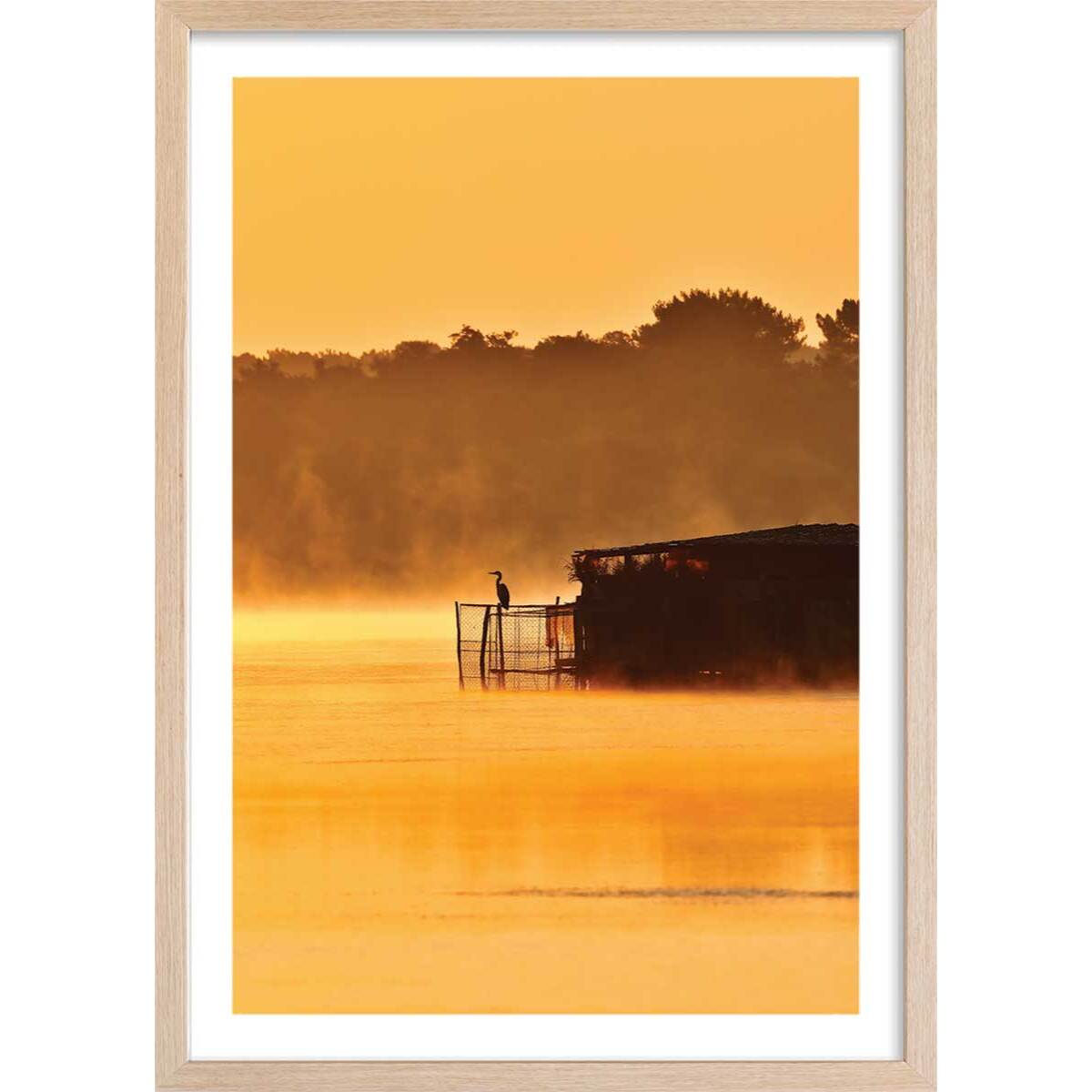 Affiche photo héron sur l'étang blanc Affiche + cadre en bois - Chêne