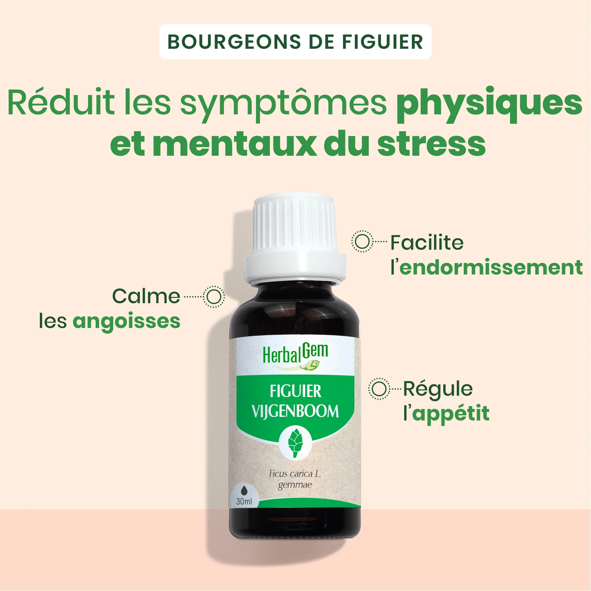 Herbalgem- Bourgeon de figuier - Bio - 30 ml