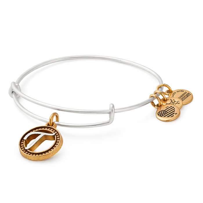 Pulsera Alex And Ani Mujer A18EBINT20TTRS