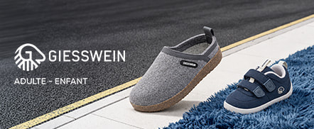 Giesswein