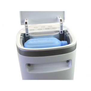 Climatizador Evaporativo de torre digital con apertura superior RAFY 75N PURLINE