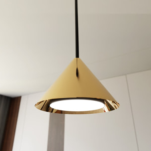 Lampada a sospensione ELIT in acciaio nero opaco e oro