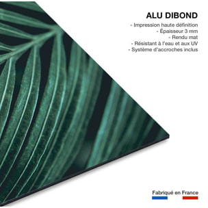 Tableau feuillepalmen Tableau alu Dibond