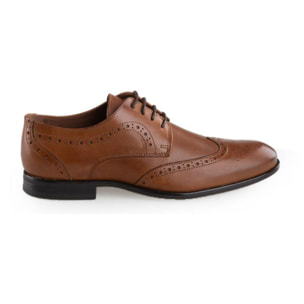 DERBIES - OXFORD ZIAN 56591