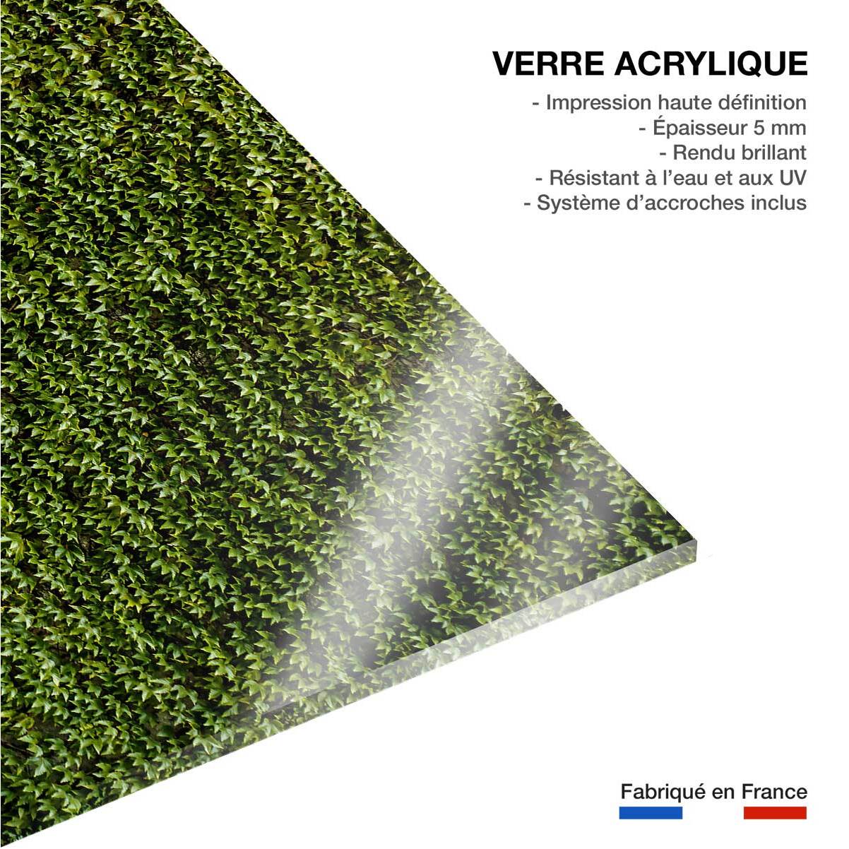 Tableau nature mur de lierres Tableau plexiglas