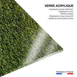 Tableau nature mur de lierres Tableau plexiglas