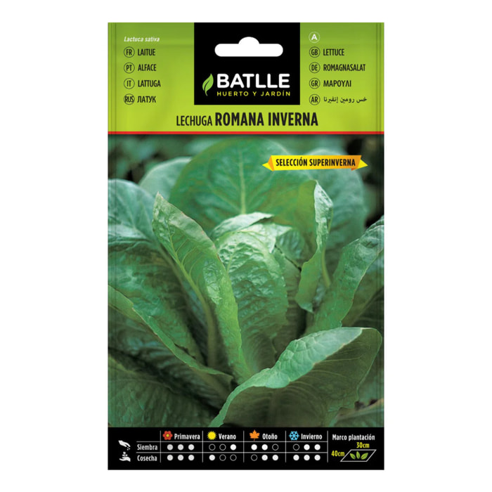 Semillas de Lechuga Inverna sel. Super Inverna Batlle