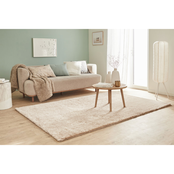 Cosy - tapis salon à poils longs tout doux, beige