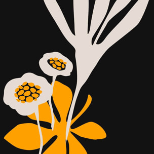 Poster fleurs colchiques Affiche + cadre en bois - Noir