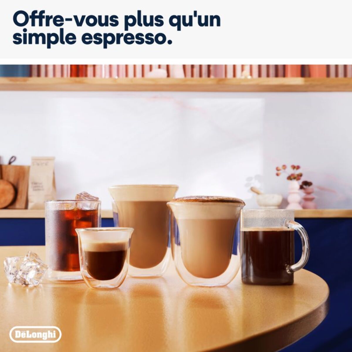 Machine à expresso DELONGHI Specialista Arte Evo EC9255.M Metal