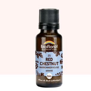 Biofloral - 25 Red Chestnut, Marronnier Rouge - Bio - 19,5 gr