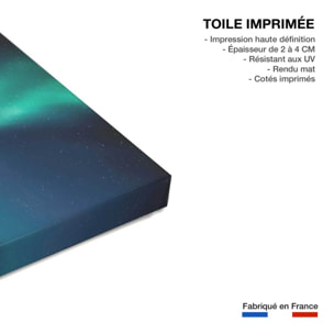 Tableau Lofoten aurora Toile imprimée