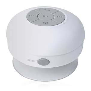 Altoparlante Bluetooth Rariax con ventosa, resistente agli schizzi d'acqua, doccia speciale
