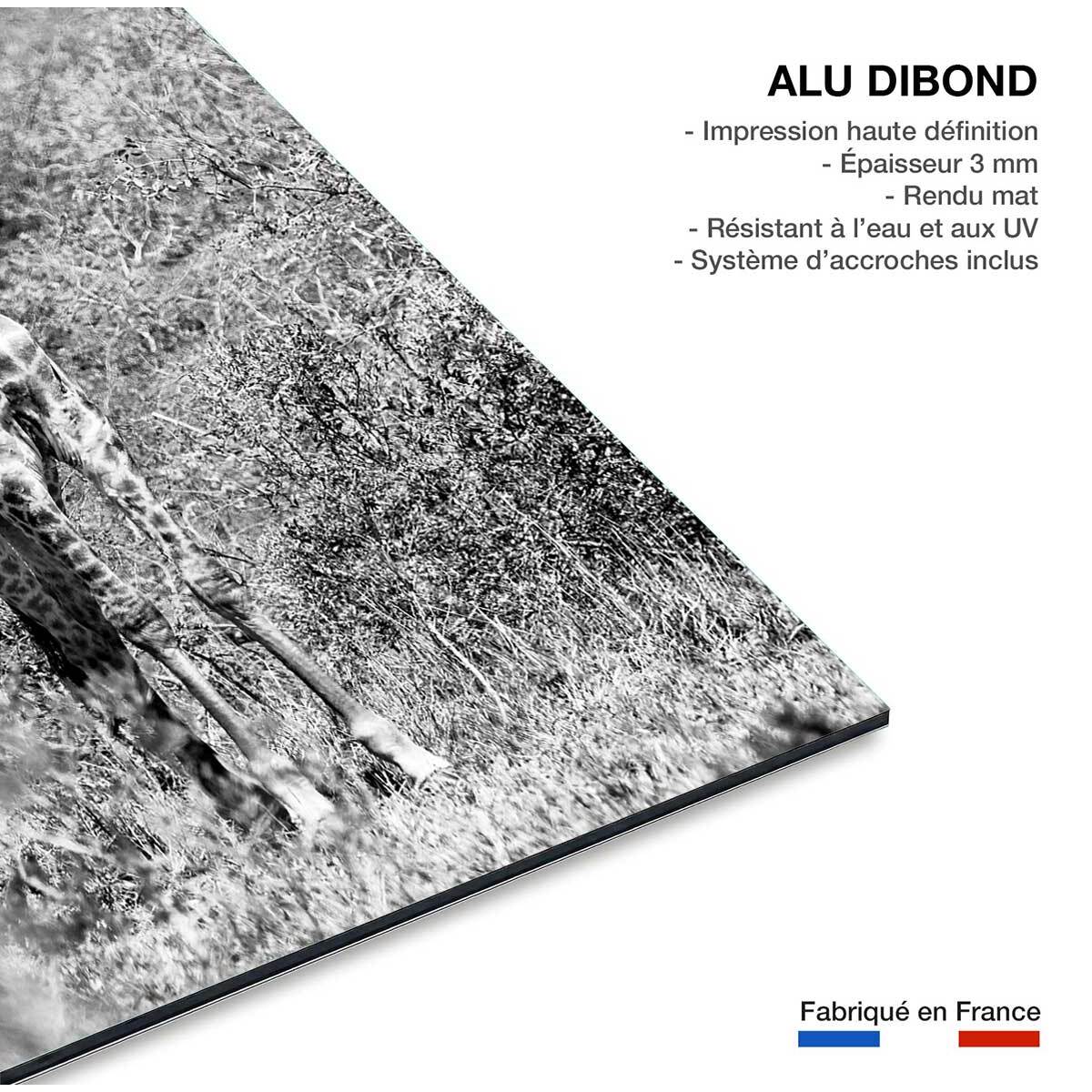 Tableau animaux girafe en instantanée  Tableau alu Dibond