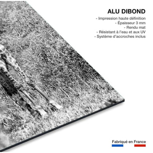 Tableau animaux girafe en instantanée  Tableau alu Dibond