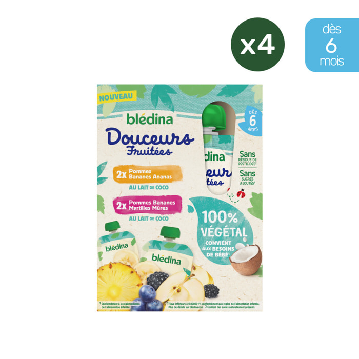 16 Gourdes 100% végétal Fruits & Lait de Coco 4x(4x90g) - Blédina Dès 6 Mois