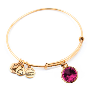 Pulsera Alex And Ani Mujer A12EB249RG