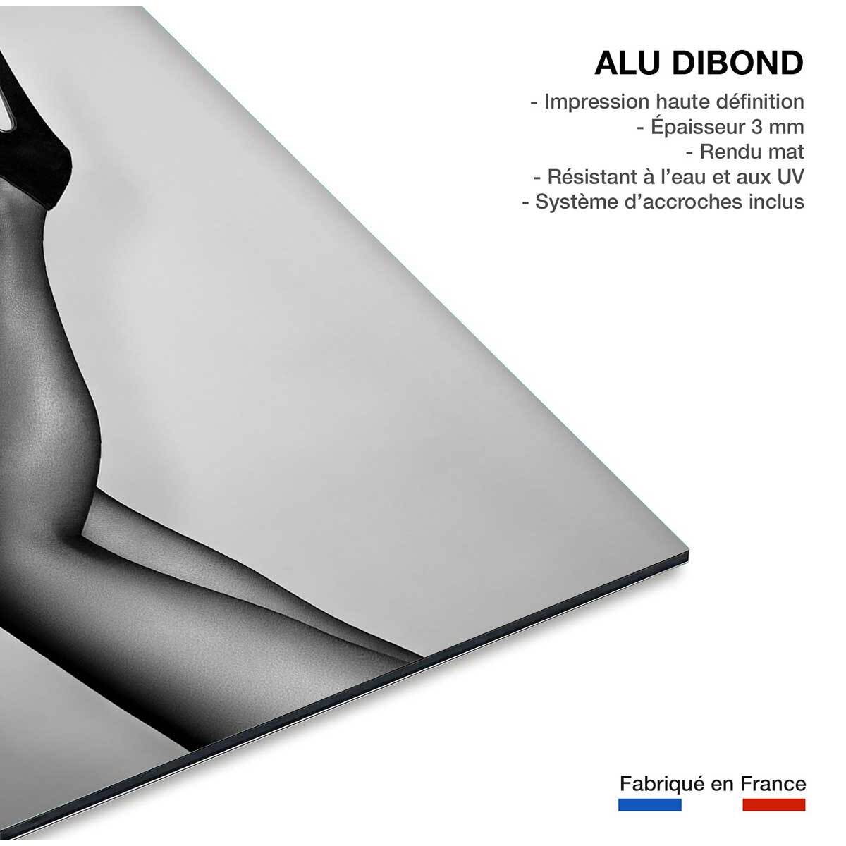 Tableau contemporain Talons de velours Tableau alu Dibond