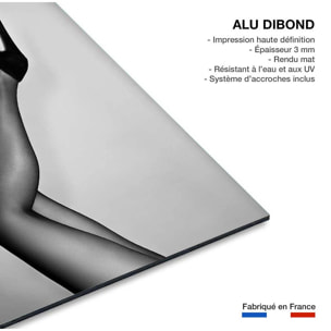 Tableau contemporain Talons de velours Tableau alu Dibond