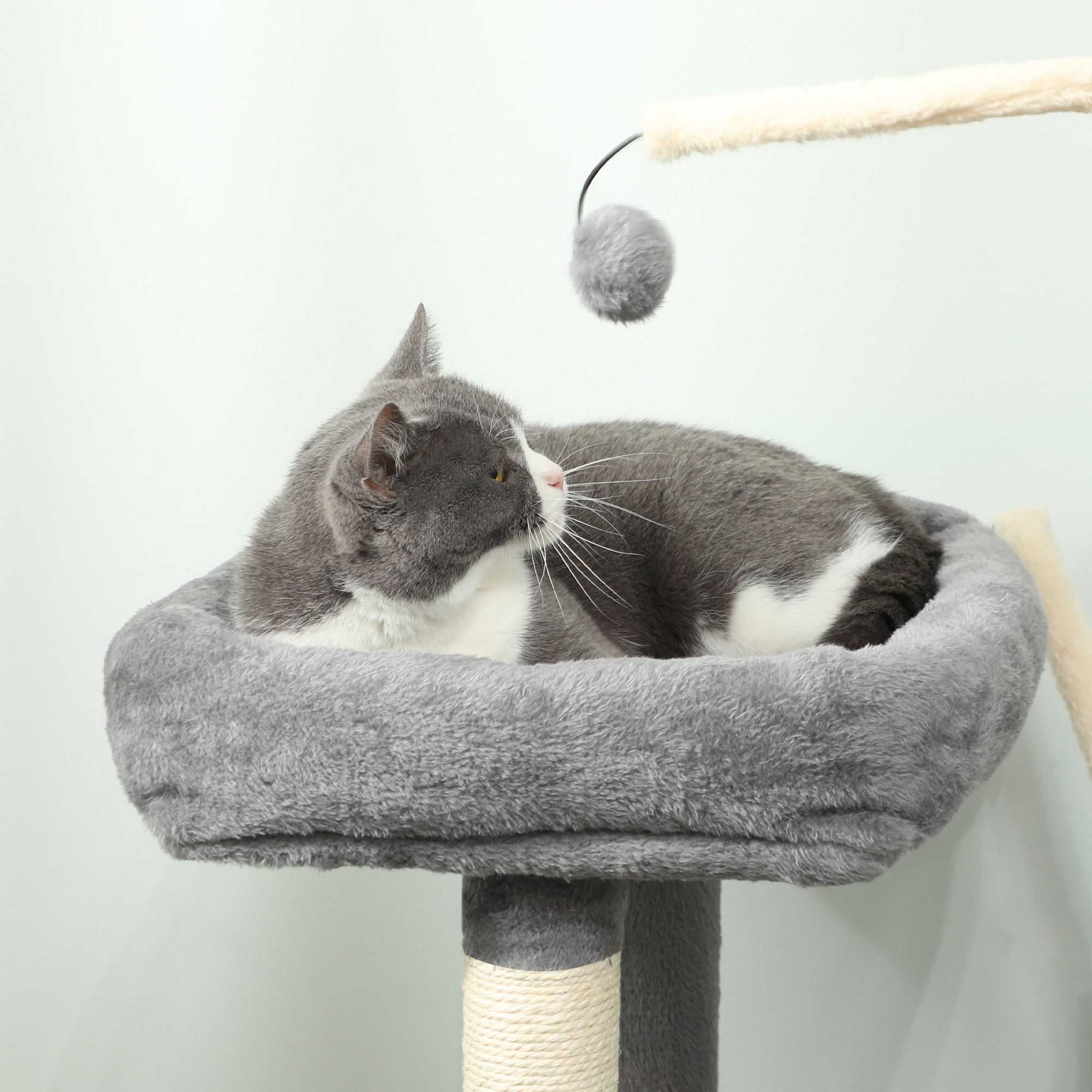 Arbre à chat multi-équipé niche hamac plateforme 3 boules griffoirs grattoir gris